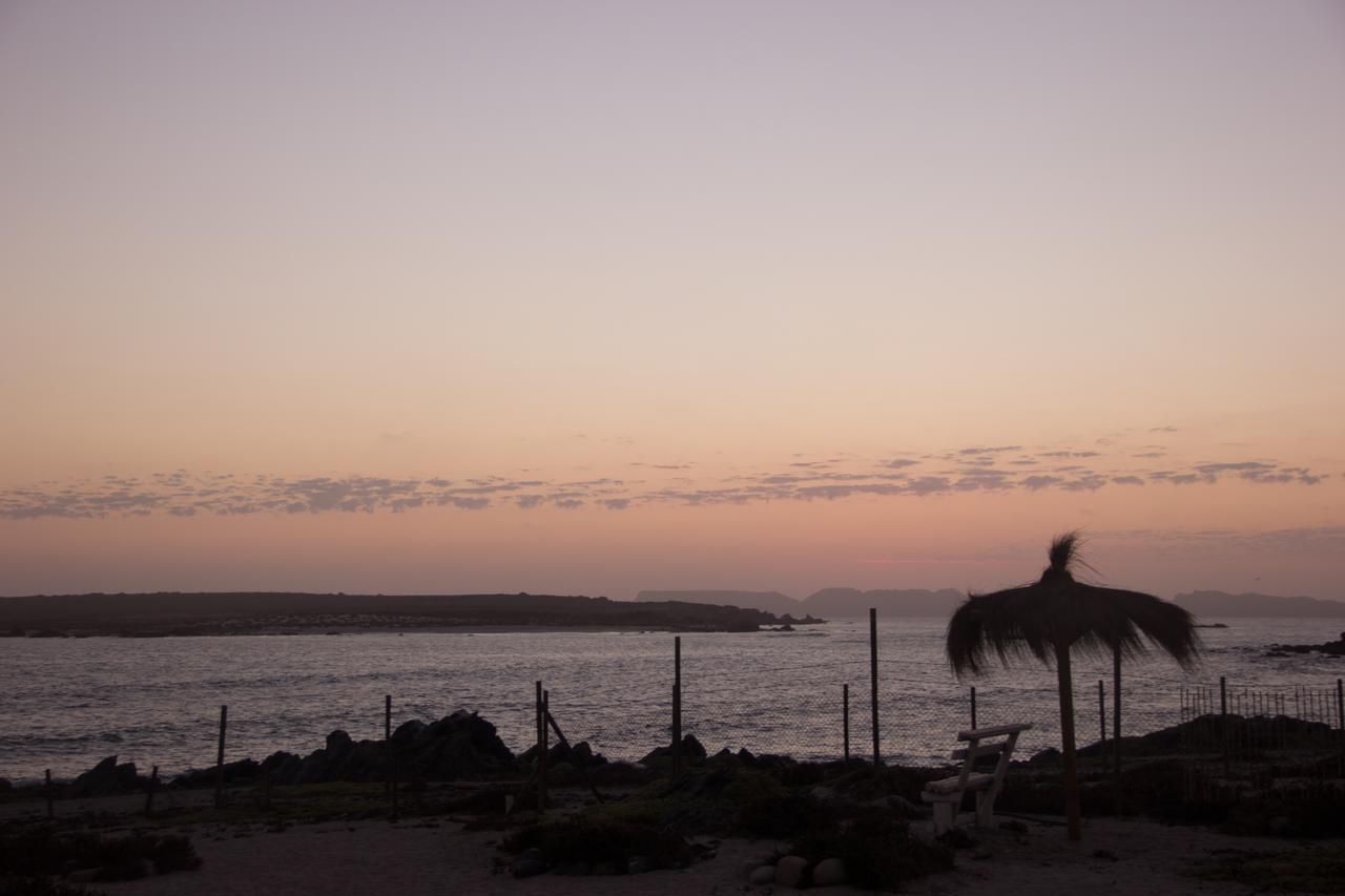 הוילה פונטה דה צ'ורוס Refugio Humboldt מראה חיצוני תמונה